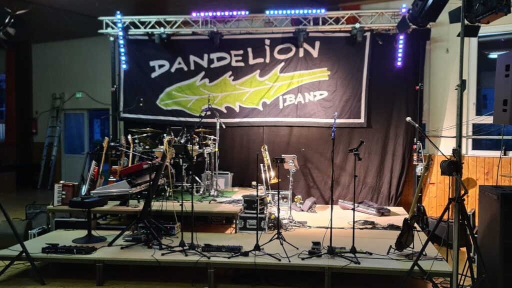Partyband Dandelion
